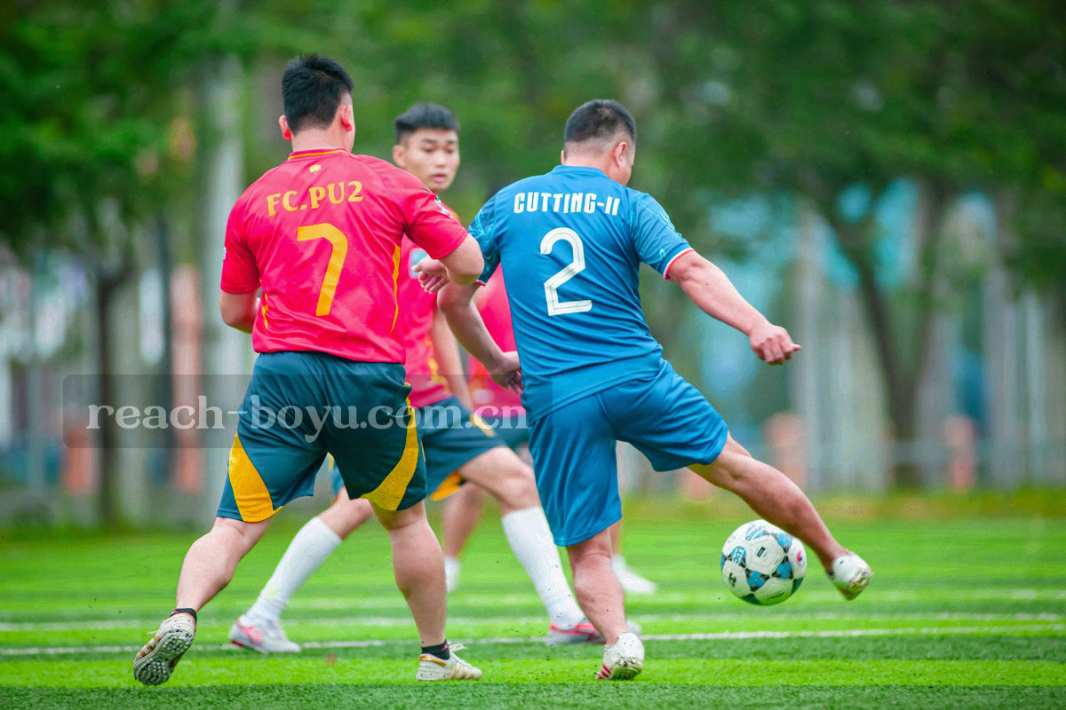 五层递进的柱形阶梯示意，每层标注权益关键词